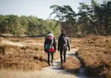 Herberg de Zwaan Elspeet foto 25