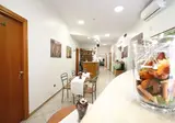 Zara foto 23
