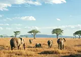 12 daagse safari Selous & Zanzibar foto 1