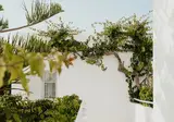Mr & Mrs White Paros foto 21