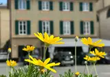 Dell'Orto foto 18