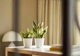 Grand Hyatt Barcelona foto 18