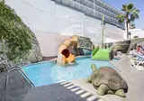 Best Oasis Park foto 20