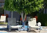 Hotel Myrtis foto 21
