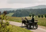 Der Hirschen foto 12