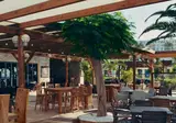 Playitas Aparthotel foto 15