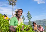 19-daagse rondreis Parels van Sri Lanka foto 5