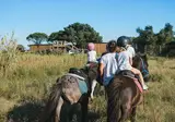 Domaine La Franqui foto 4
