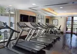 The Ritz-Carlton Dubai foto 13