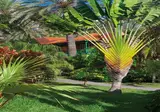 Hacienda San Jorge foto 15