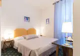 Rex foto 1