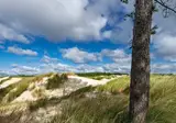 Vakantiepark Schoorlse Duinen foto 14