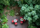 Diese Hotel Bastille foto 8