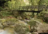 Prachtig binnenland van Noord-Portugal foto 19
