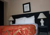 Oscar Hotel foto 12