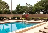Embassy Suites by Hilton Orlando Internationa foto 1