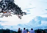 The Damai foto 16