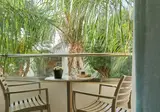 Sentido Kyknos Beach Adults Only 16+ foto 7