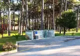 Vagueira foto 12