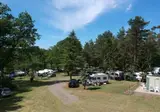 Vodatent Camping Sonnenberg foto 6