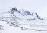 A Winter Adventure in Jasper foto 3