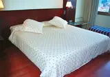 Hotel Attica21 Vigo 4****S Business & Wellness foto 15