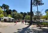 Caminha foto 2