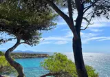 Les Tamaris foto 9