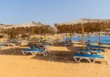 Sharm Reef foto 22