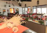 Nautilus Barbati foto 11