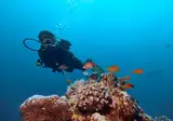 TUI MAGIC LIFE Kalawy foto 29