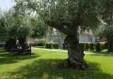 Galati Resort foto 7