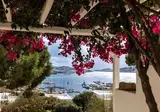 Rhenia Hotel foto 15