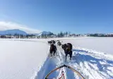 8-daagse Winterbelevenis Tromsø, Kiruna en het IJshotel foto 3