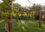 Casas Novas Countryside Hotel & Spa foto 13