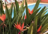 AQUA Hotel Bertran Park foto 21