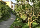Hotel San Giovanni Terme foto 19