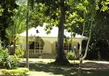 Chalet Bamboo Vert foto 2