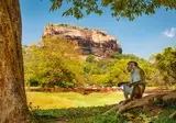 10 daagse fly drive Sri Lanka in Vogelvlucht foto 5