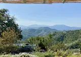 Finca las Nuevas foto 19