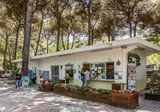 Marina Romea Easy Camping Village foto 4