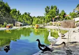 Camping Domaine La Yole by Happy Camp foto 9