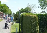 Camping Geelenhoof foto 5