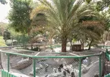 Jolie Ville Luxor foto 17