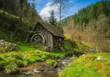 Hotel Best Western Plus Schwarzwald Residenz foto 44