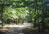 Recreatiepark De Tien Heugten foto 21