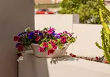 Sarpidon Suites foto 10