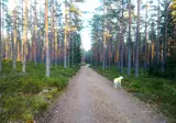 Camping Falkudden foto 4