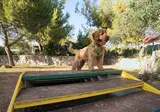 Camping Kovacine foto 8