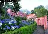 Quinta da Serra - Bio Hotel foto 23
